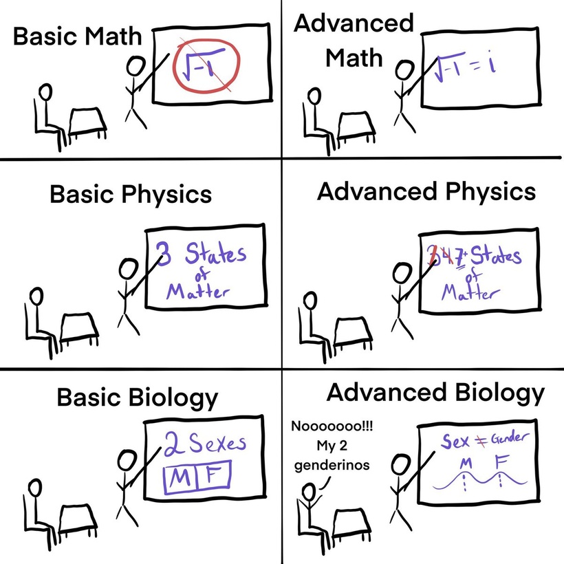 Comic en seis viñetas. En todas ellas un estudiante en un pupitre recibe lecciones de un profesor en una pizarra. 
En la primera, "Matemáticas básicas", se enseña que la raiz de -1 no existe. En la segunda, "matemáticas avanzadas", se dice que la raíz de -1 es igual a "i".
En la tercera, "física básica", se enseñan 3 estados de la materia. En la cuarta, "física avanzada", se tacha el 3, hay un 4 tachado, y la pizarra queda con un "7+ estados de la materia".
En la quinta se muestra "biología básica", 2 sexos, macho y hembra. En la sexta, "biología avanzada", se indica que sexo y género son distintos, y una gráfica bimodal para los sexos. En esa última, el estudiante exclama "nooo, mis dos genderinos!"