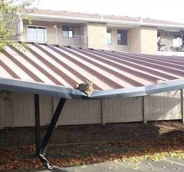 Meme. Un gato está tumbado en la parte más hundida de un tejadillo de metal parcialmente hundido. Bajo el gato, la viga que debería sostener la estructura está totalmente doblada.
