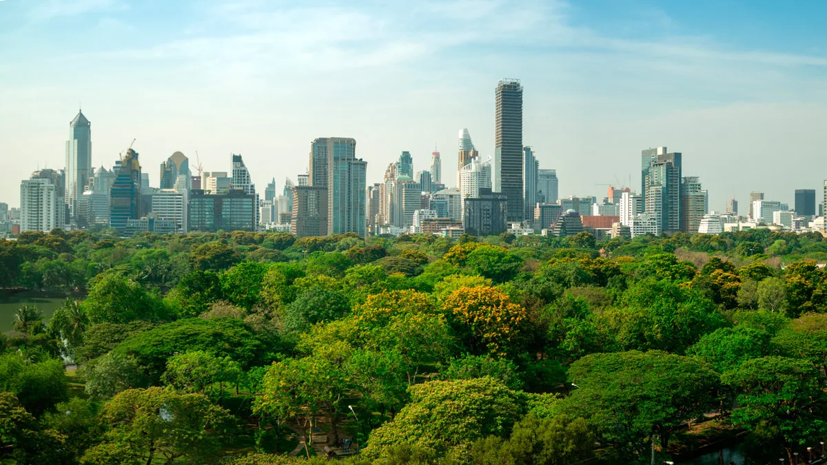 Bosque urbano