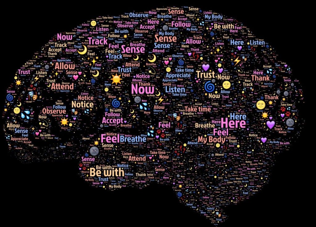 Cerebro clasificador. Un cerebro conteniendo multiples conceptos de distinto tipo.