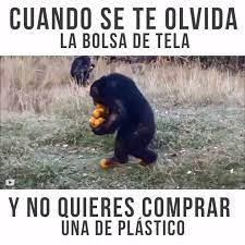 Los veinte mil usos de la bolsa de tela para reemplazar al plástico