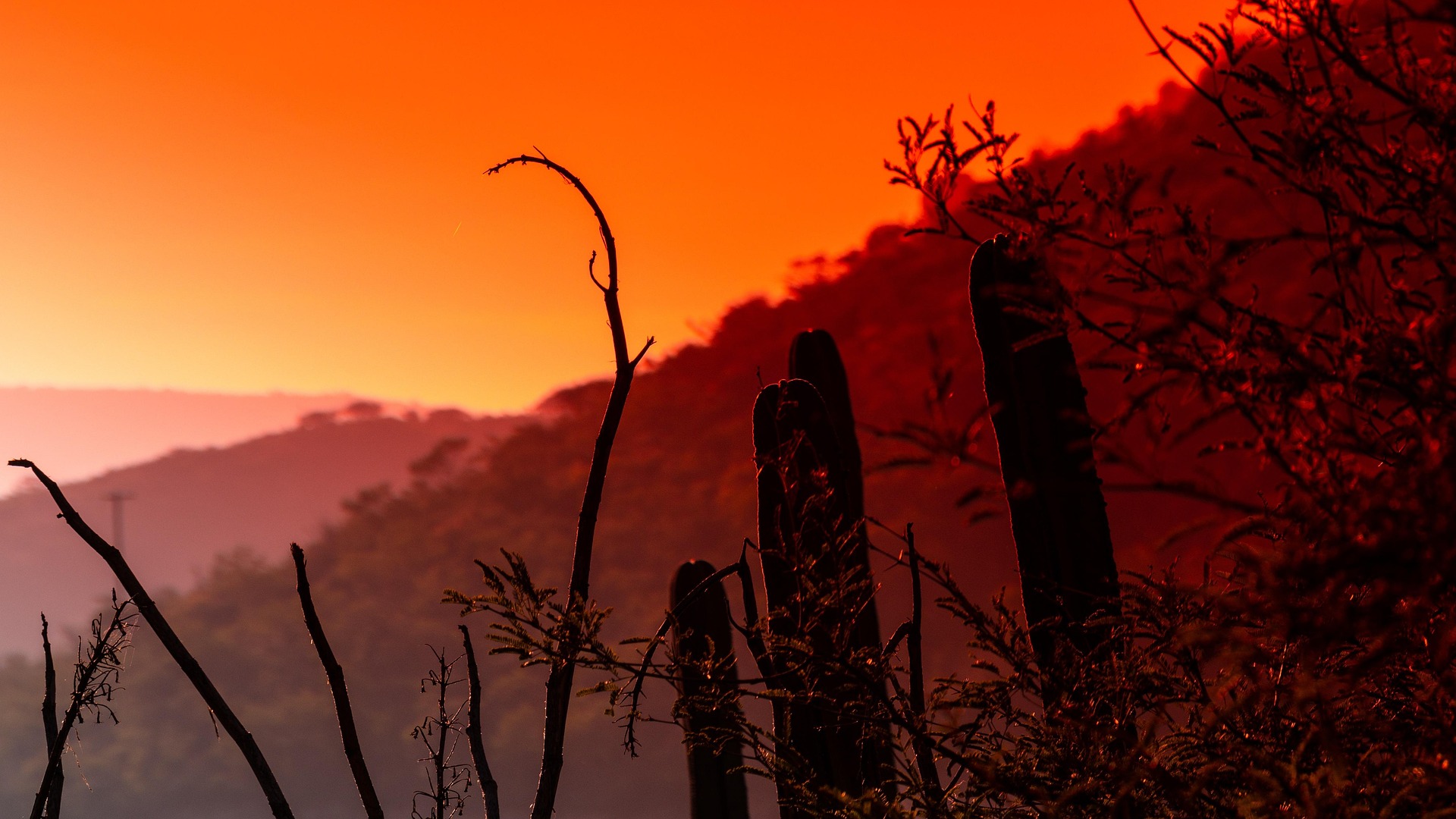 Qué produce el avance de la desertificación y cómo revertirlo {La Mecánica del Caracol}